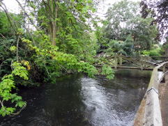 River Itchen